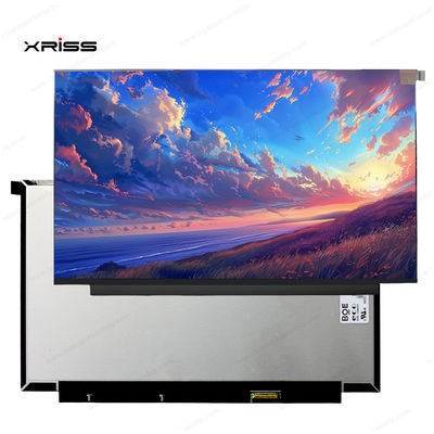 품질  13.3 Inch Touch Screen For Lenovo ThinkBook 13x ITG Notebook PC Digitizer Assembly Replacement 공장